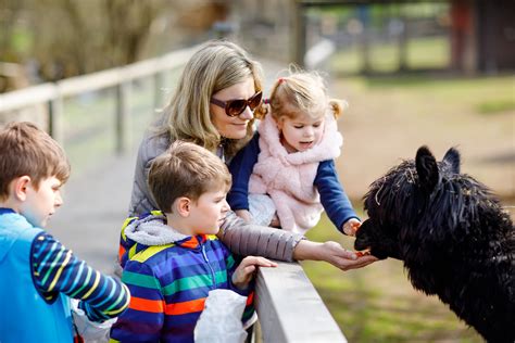 petting zoos on long island